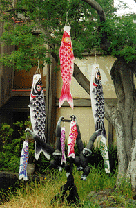 23'' Flying Carp Wind Sock Set